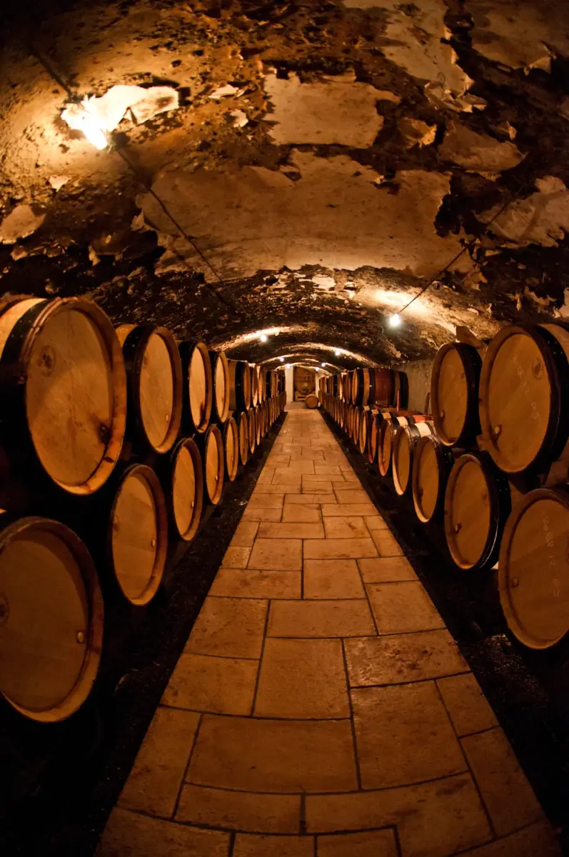 Foto 3 de Bodega Norte